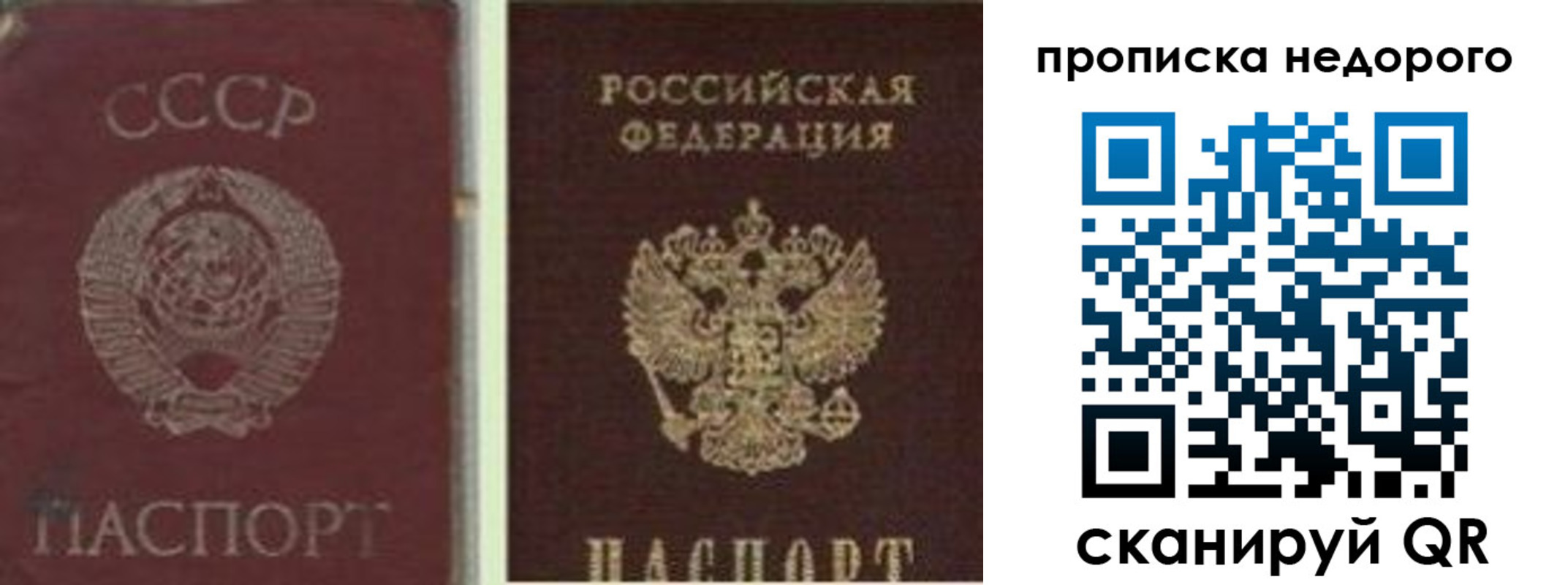 временная регистрация поиск в Чкаловске